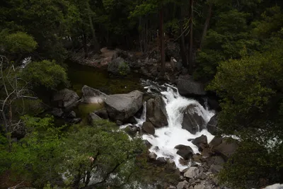 DSC_4684 (Large).JPG